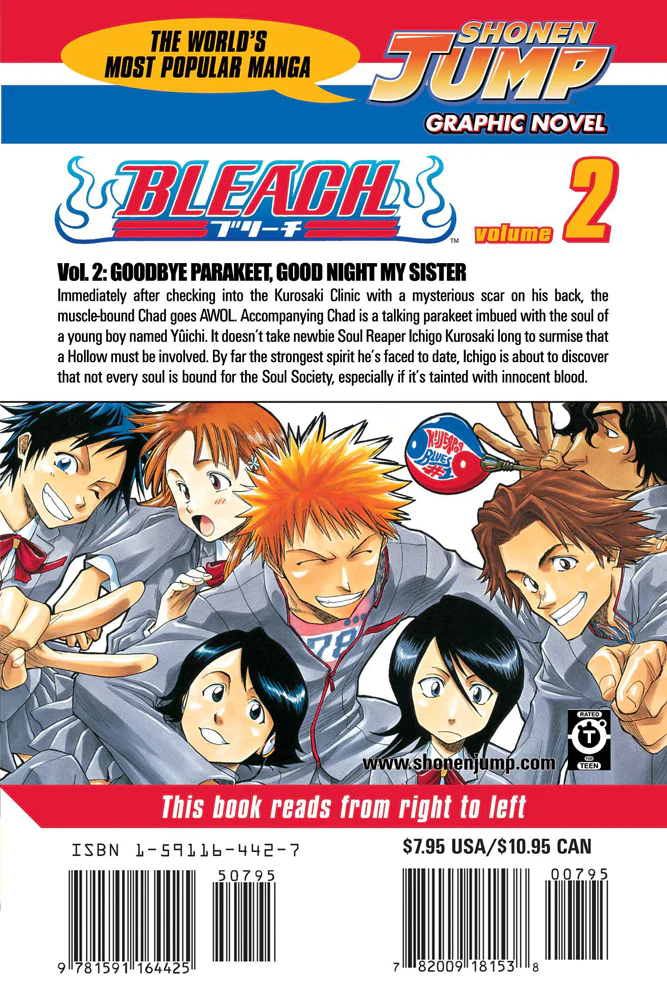 BLEACH Manga Volume 2 - Image 2