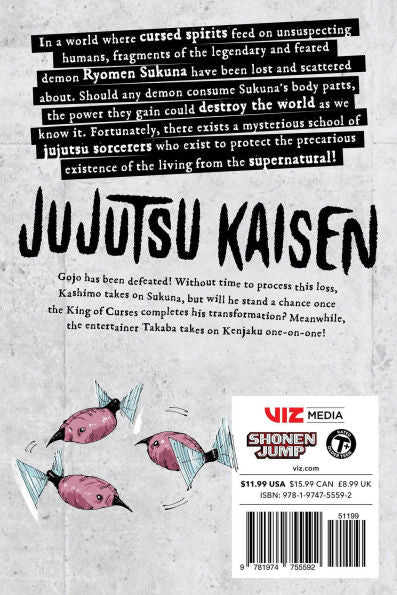 Jujutsu Kaisen Manga Volumes 27 - Image 2